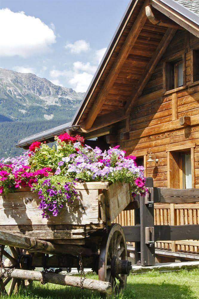 Chalet Teo E Marianna Bormio Eksteriør billede